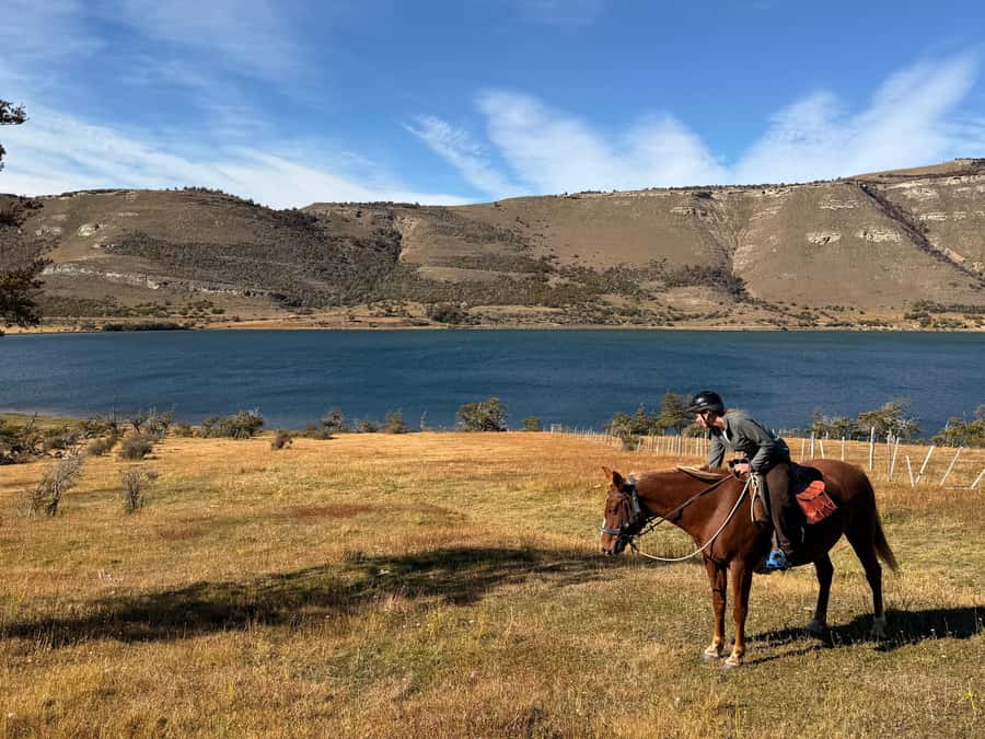 Puerto Natales: Full Day Horse Riding to the Mountains - Condors and Wildlife: How to Enjoy It Without Messing It Up