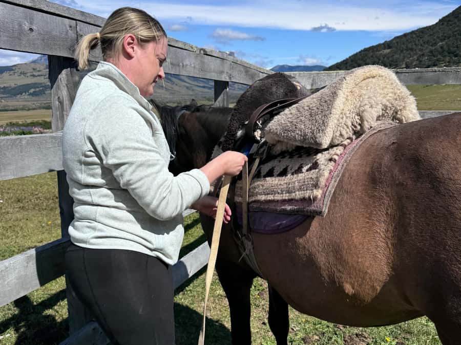 Puerto Natales: Full Day Horse Riding to the Mountains - What You Pay, and Why It Can Be Worth $360