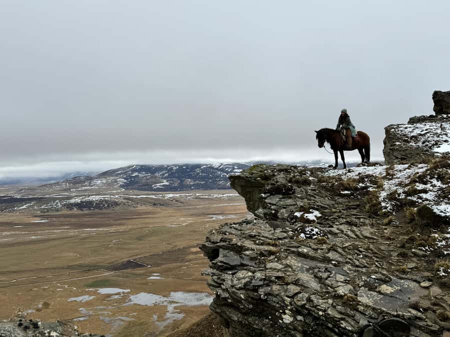 Puerto Natales: Full Day Horse Riding to the Mountains - Pickup and Safety: The Day Gets Organized Fast