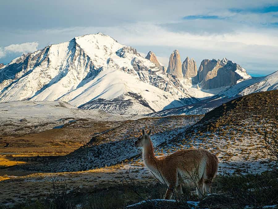 Puerto Natales: Full-Day Torres del Paine Tour - Key things that make this Torres del Paine day worth it