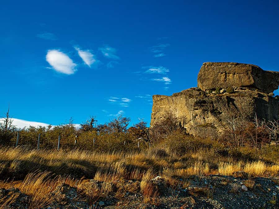 Puerto Natales: Full-Day Torres del Paine Tour - Why Torres del Paine from Puerto Natales feels like a full-day movie