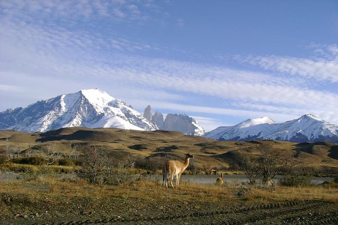 Puerto Natales: Full day tour Torres del Paine - Pickup in Puerto Natales, then straight into the park zone
