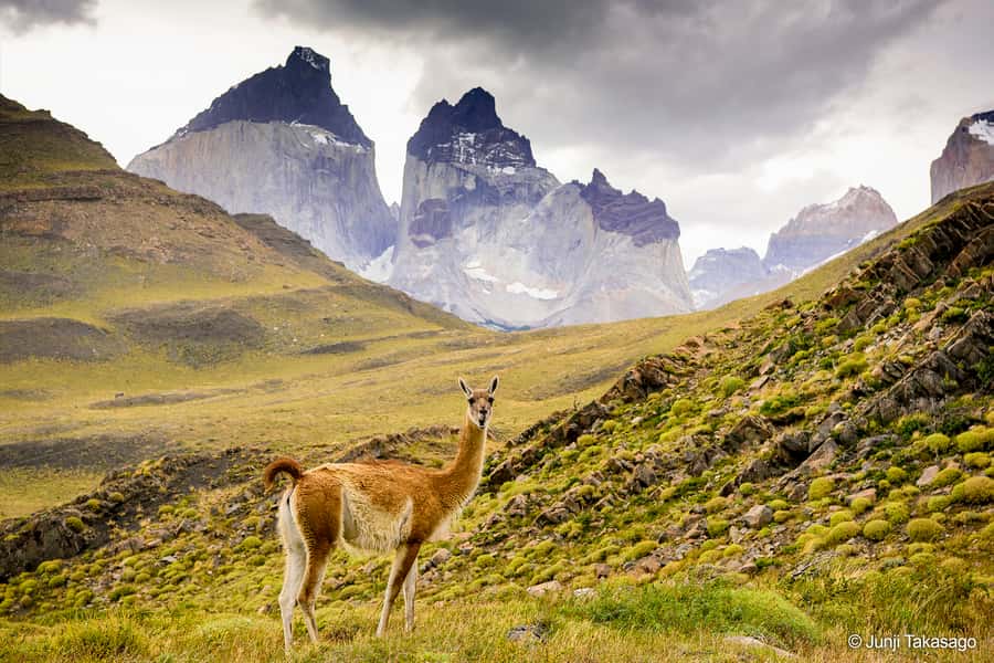 Puerto Natales: Full day tour Torres del Paine National Park - Timing, group pace, and weather, so you pack right