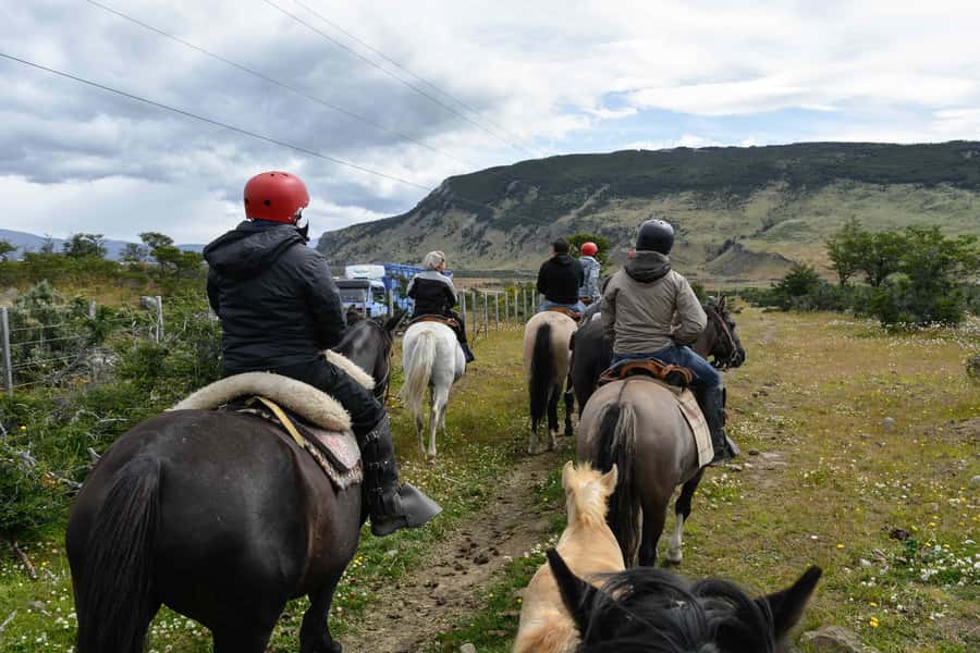 Puerto Natales: Horseback Riding to Dorotea Fjord Lookout - Key highlights at a glance