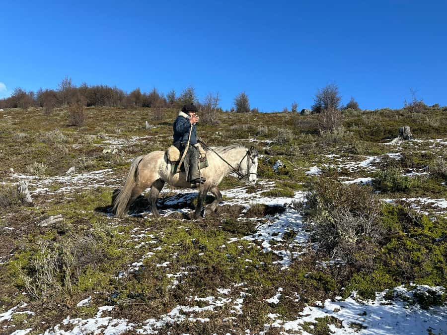Puerto Natales: Horseback Riding to Dorotea Fjord Lookout - Why Cerro Dorotea is worth your saddle time