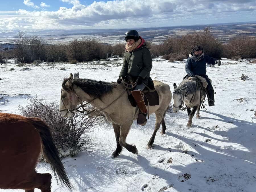 Puerto Natales: Horseback Riding to Dorotea Fjord Lookout - The 3-hour ride: forests, meadows, and crossing into border country