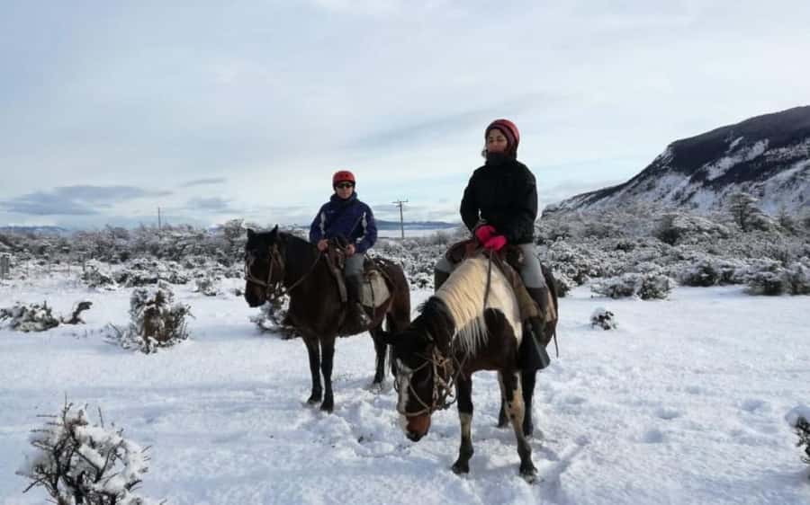 Puerto Natales: Horseback Riding to Dorotea Fjord Lookout - Summit time: Puerto Natales, Almirante Montt Gulf, and Última Esperanza Fjord