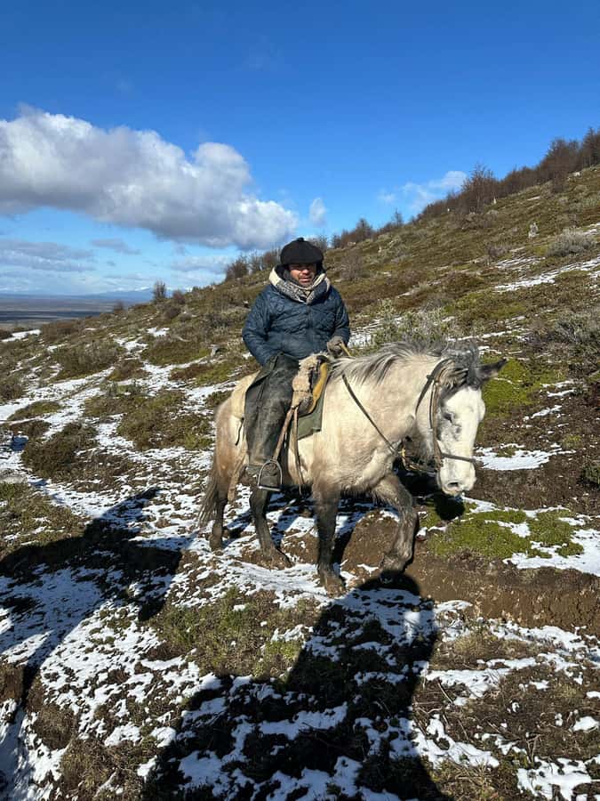 Puerto Natales: Horseback Riding to Dorotea Fjord Lookout - Price and value: what $171 buys, and where it can feel pricey