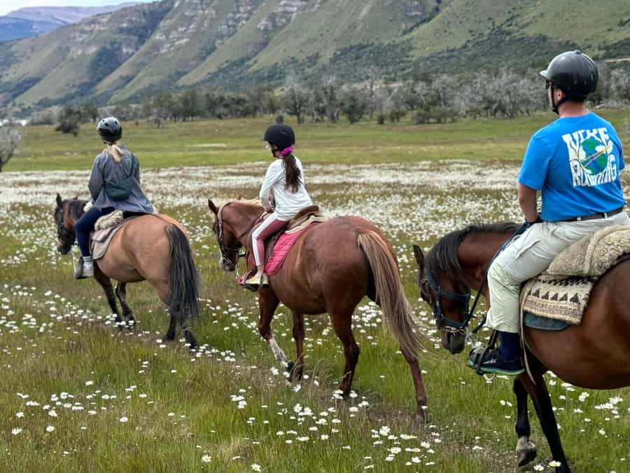 Puerto Natales: Horseback Riding with Horse Connection - Key things you will notice
