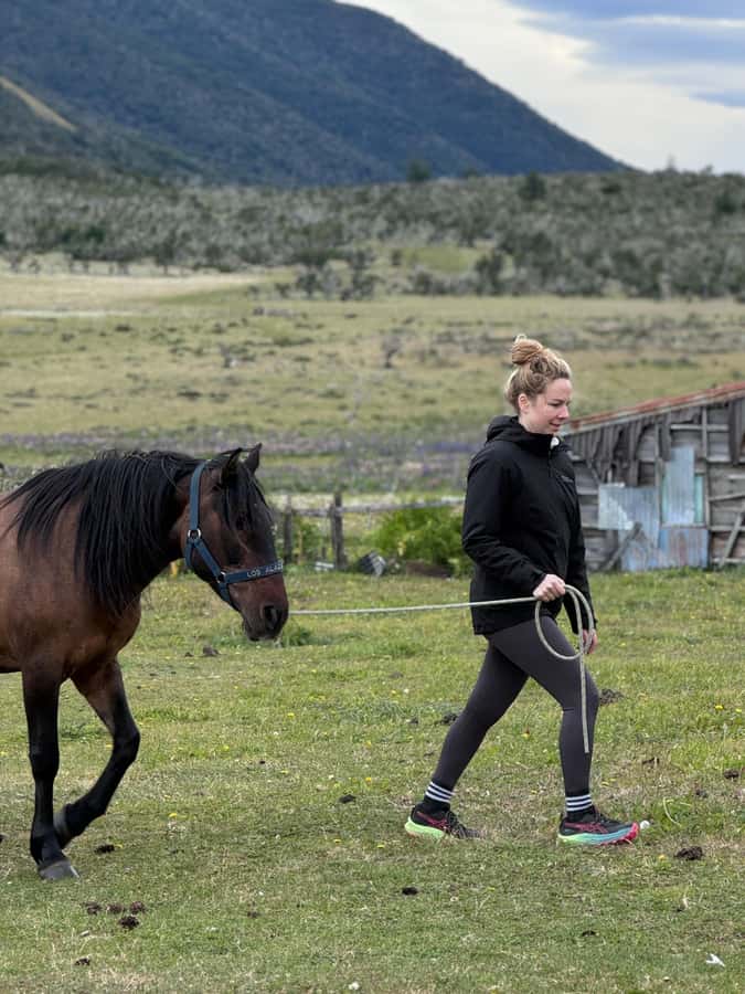 Puerto Natales: Horseback Riding with Horse Connection - Who should book this and who should not