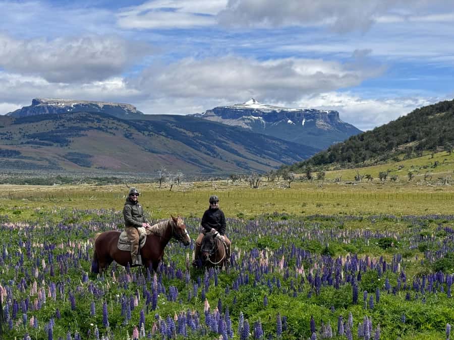 Puerto Natales: Horseback Riding with Horse Connection - Where the connection begins: halter, brush, saddle, and rider fit