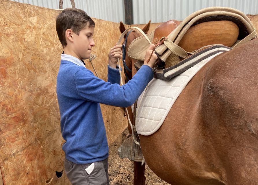 Puerto Natales: Horseback Riding with Horse Connection - Tack, technique, and the pace you get