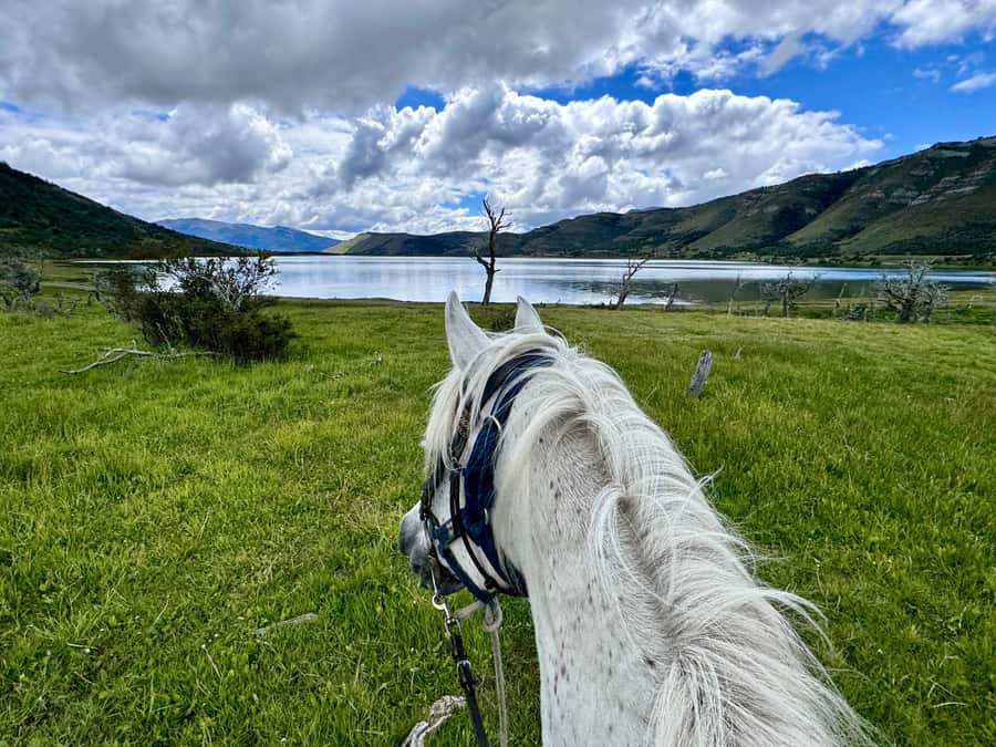 Puerto Natales: Horseback Riding with Horse Connection - Mirador Lago Figueroa: the scenery stop that also teaches history