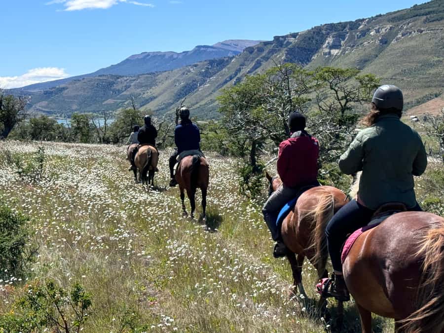 Puerto Natales: Horseback Riding with Horse Connection - Half-day choice: about 2 hours of riding, Lake Figueroa included