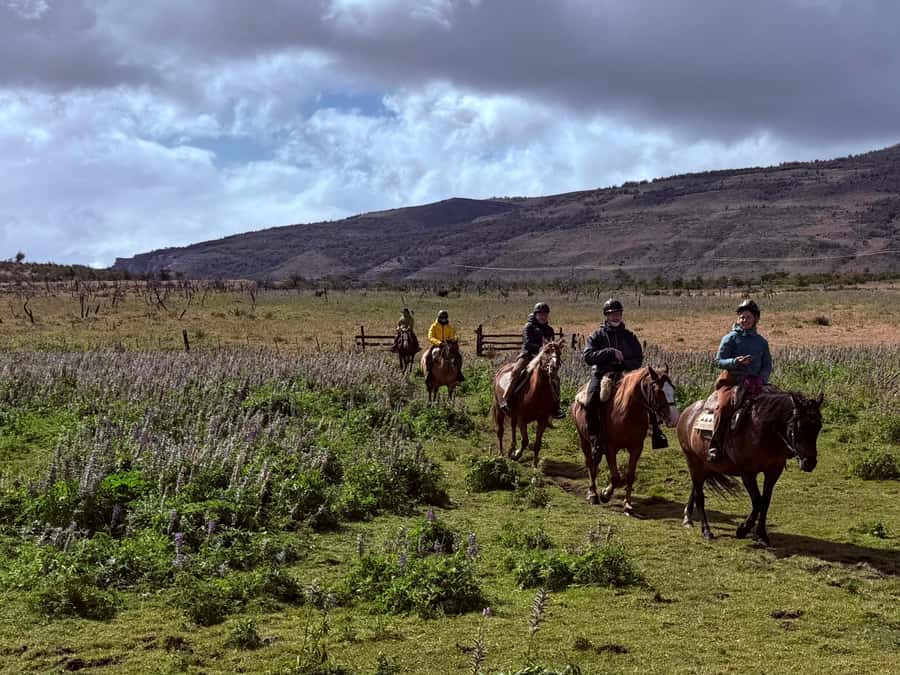 Puerto Natales: Horseback Riding with Horse Connection - Full-day choice: 6 to 7 riding hours and a higher skill bar