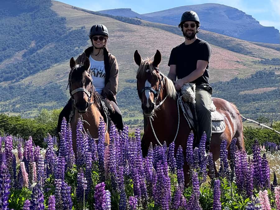 Puerto Natales: Horseback Riding with Horse Connection - From Holaste Coffee to Posada 3 Pasos: the day’s rhythm