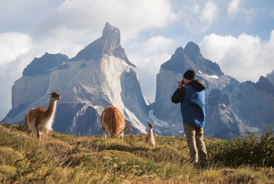 Puerto Natales: Tour Package (Full Day + Base Torres + Grey) - Day 3 on Lake Grey: Boat Navigation for Ice Walls and Calving Up Close