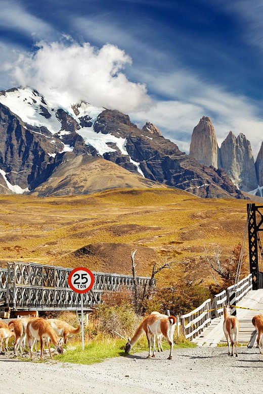 Puerto Natales: Tour Package (Full Day + Base Torres + Grey) - Price and Value at $523: Why This Bundle Can Feel Fair