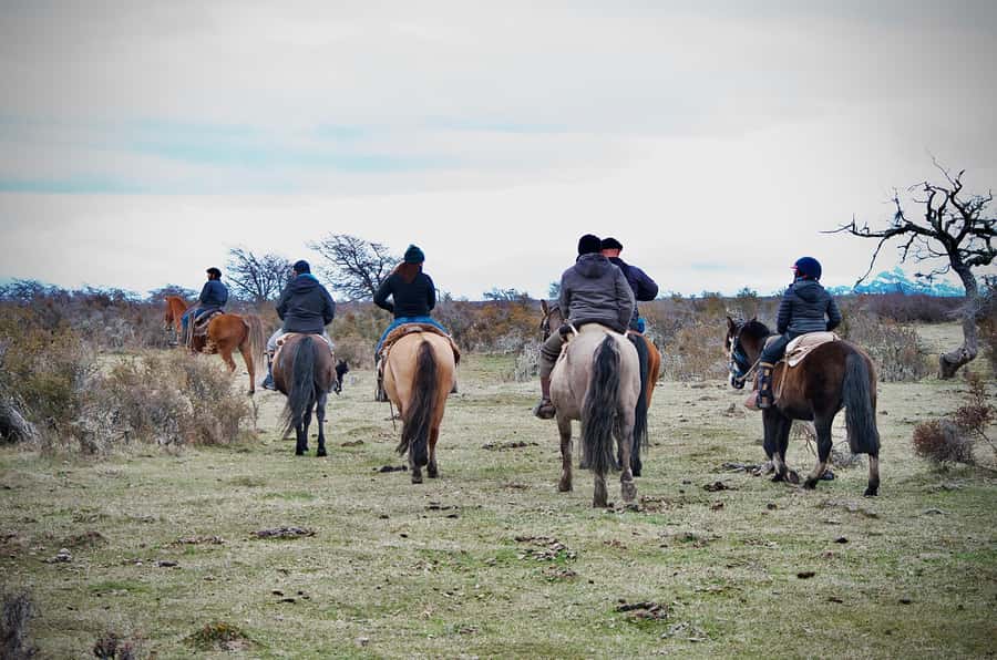 Puerto Natales: Traditional Horseback Riding Experience - The views that make Puerto Natales rides worth it