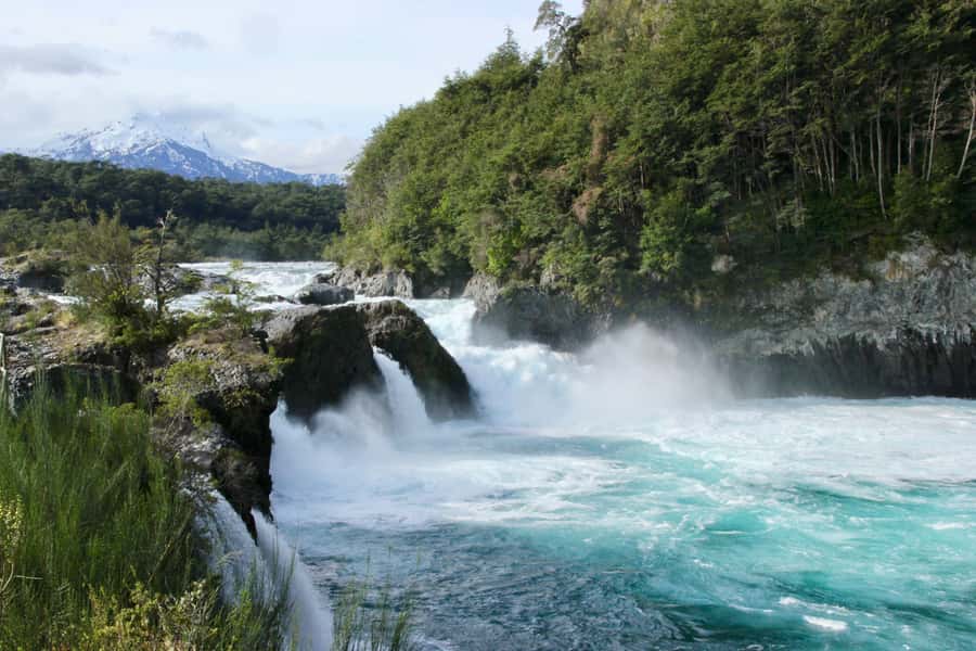 Puerto Varas: Osorno Volcano, Petrohue Falls Full-day Trip - Petrohué River and Falls area: the walk through evergreen forest