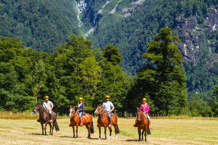 Puerto Varas: Peulla Day Trip - Guides, language, and how you get help through the day