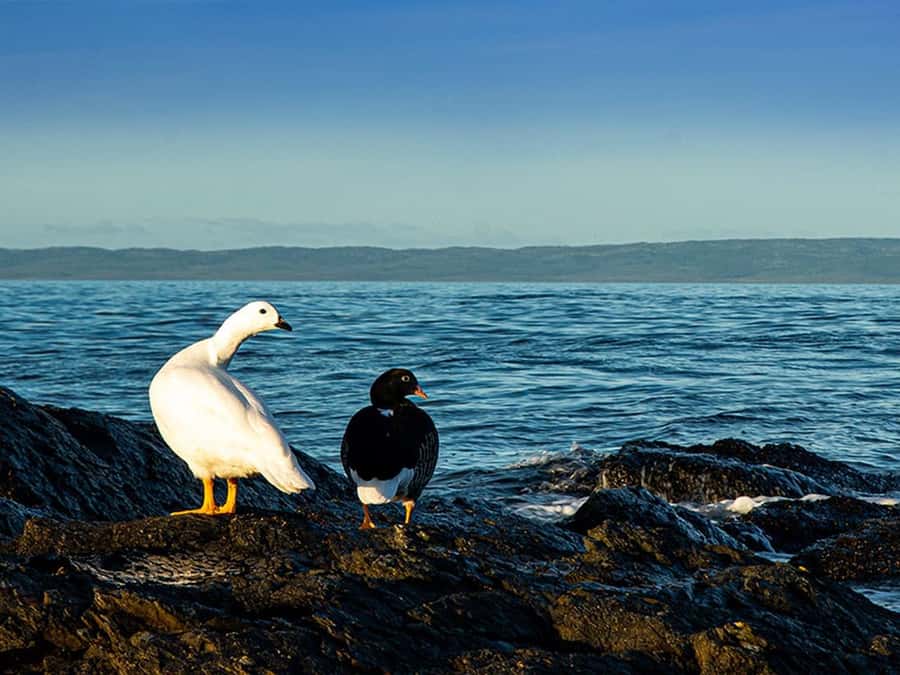 Punta Arenas: Fort Bulnes Historical Tour - Inside Fuerte Bulnes, lighthouse to jail, and the everyday life clues