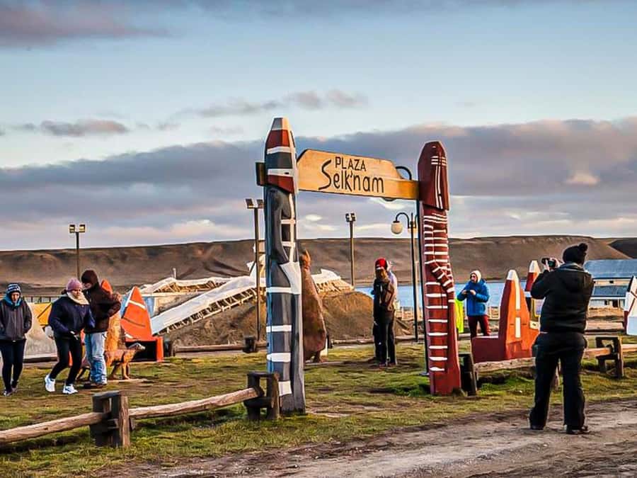 Punta Arenas: Full Day Tierra del Fuego & King Penguins - Key things to know before you go