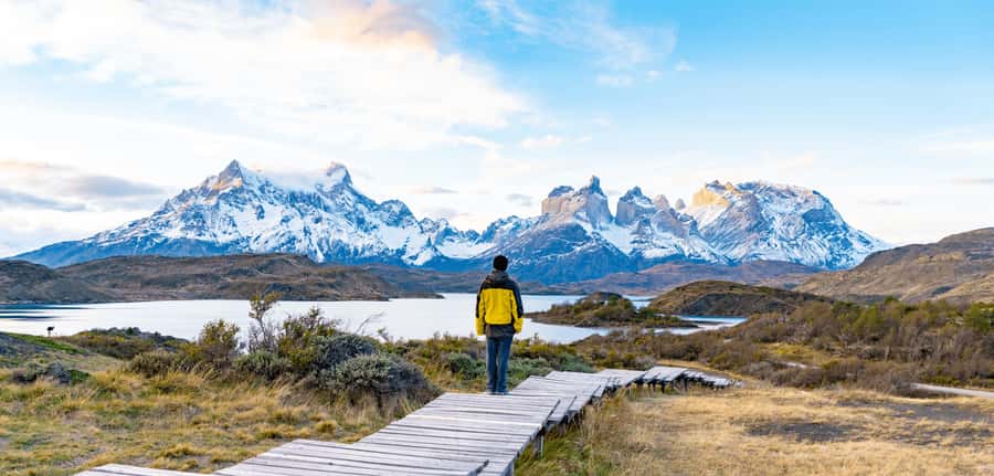 Punta Arenas: Full Day Torres del Paine + Milodon Cave - Mirador Lago Grey and the Glacier-Area Views