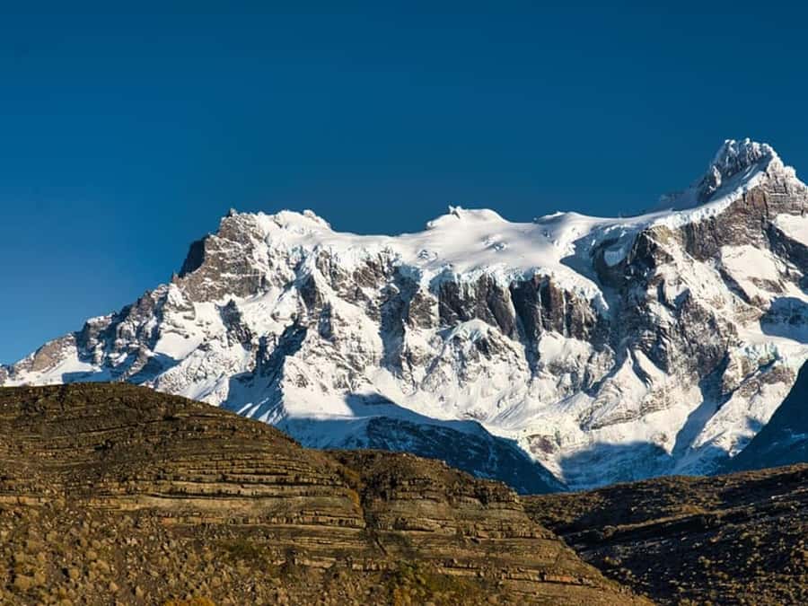Punta Arenas: Full-Day Torres del Paine Tour - Quick highlights from this Torres del Paine day trip