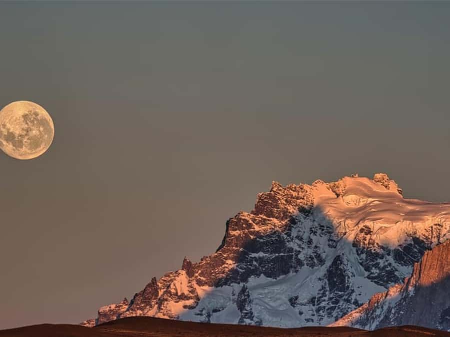 Punta Arenas: Full-Day Torres del Paine Tour - Getting from Punta Arenas to Torres del Paine without wasting your day