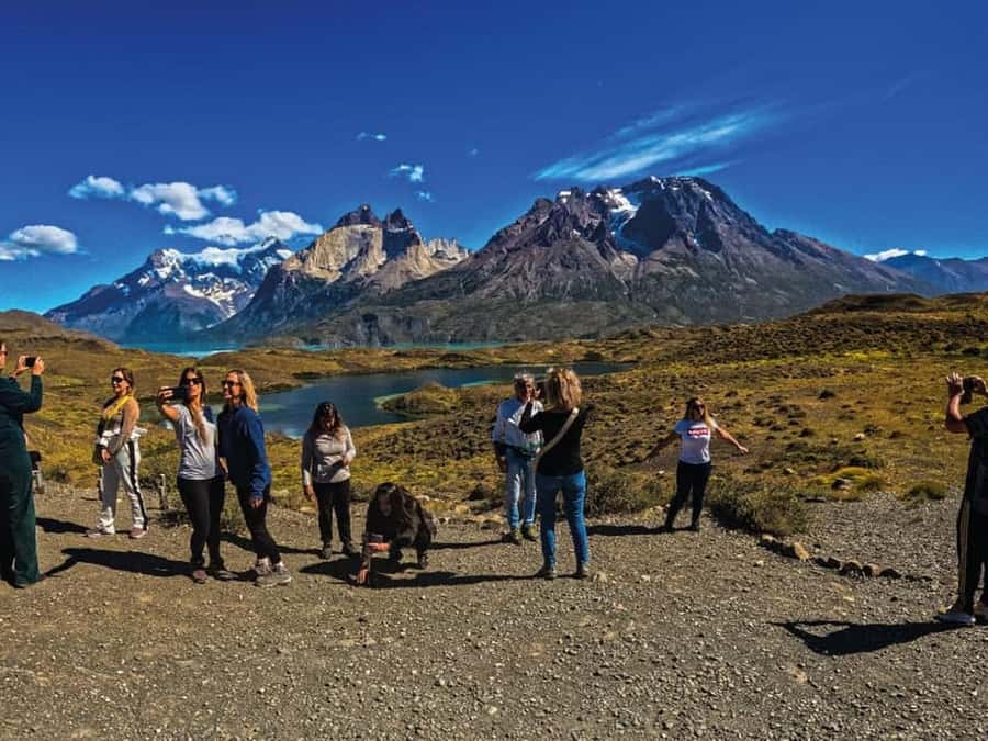 Punta Arenas: Full-Day Torres del Paine Tour - Pehoé viewpoint panoramas and why the short walk matters