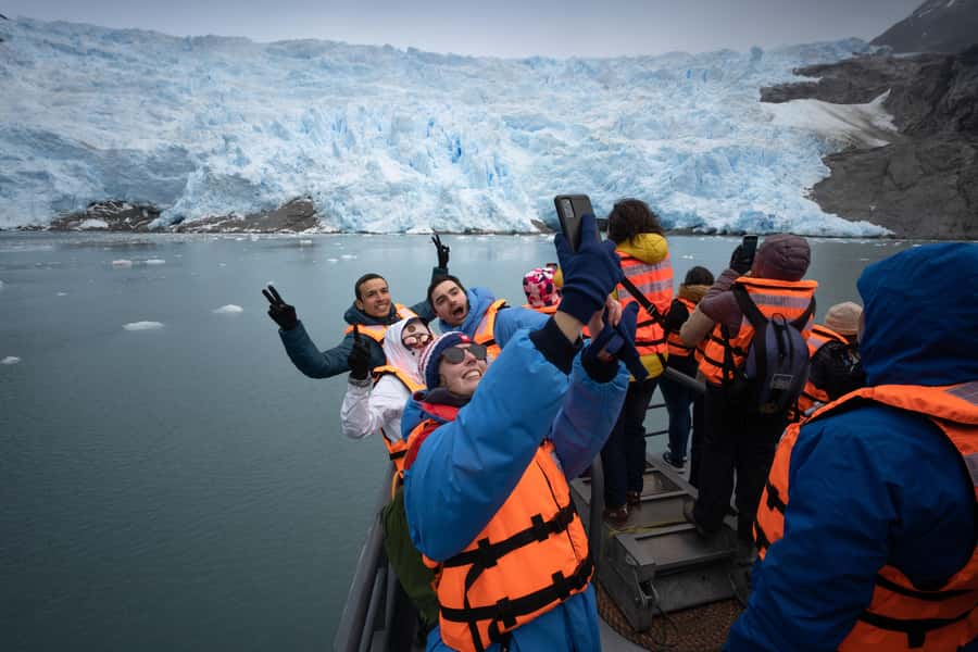 Punta Arenas: Full-Day Whales, Penguins, and Glaciers Tour - Key things I’d circle before you book