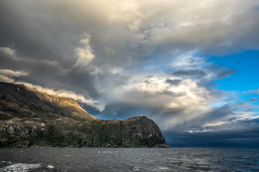 Punta Arenas: Full-Day Whales, Penguins, and Glaciers Tour - Francisco Coloane Marine Park: your first big wildlife window