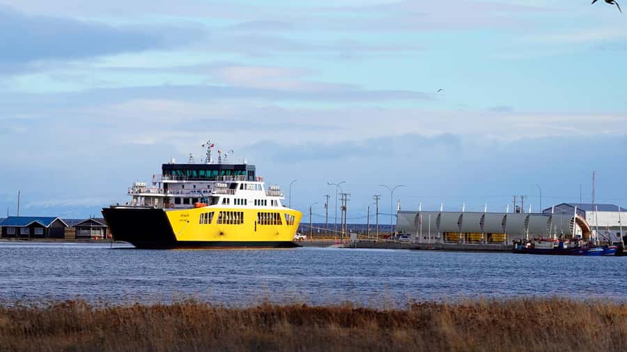 Punta Arenas: King Penguin Park and Tierra del Fuego Trip - How Long Is This Really, and Where Does the Time Go?