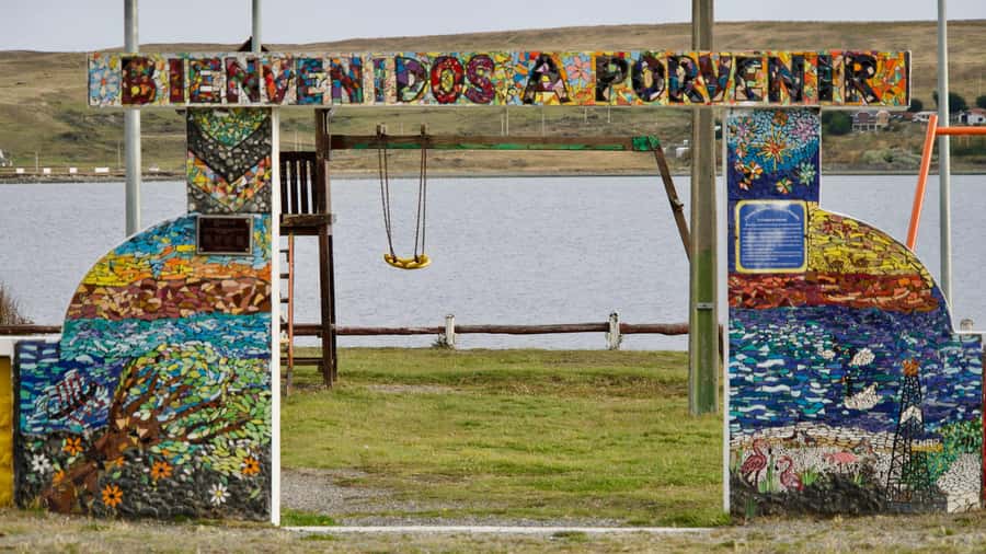 Punta Arenas: King Penguin Park and Tierra del Fuego Trip - Punta Arenas to the Water, a Ferry Day That Sets the Tone