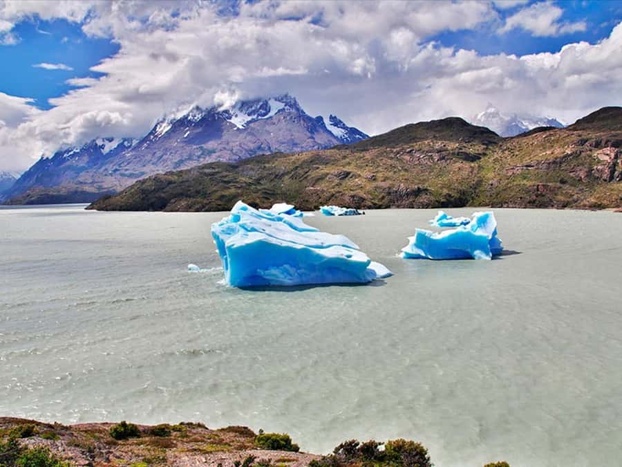 Punta Arenas: Torres del Paine & Grey Glacier Full-Day Boat - Grey Lake Sailing: Pisco Sour, Icebergs, and a Better View Angle