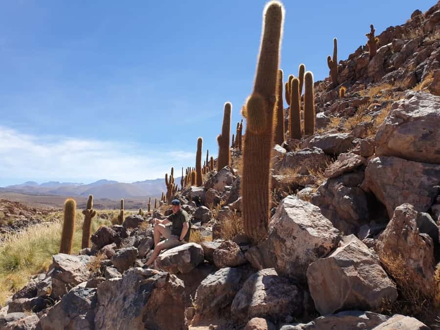 Purilibre Trekking - The walk to the springs, and why Pampas Gras shows up