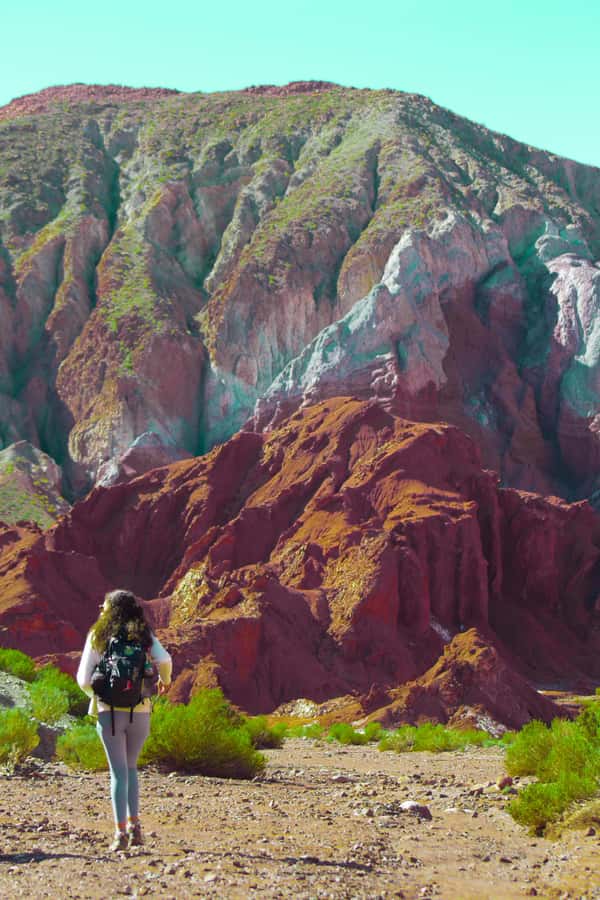 Rainbow Valley Tour: Mesmerizing Colors and Flavors - What Makes This Tour Worth Your $50