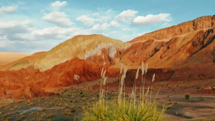 Rainbow Valley Tour: Mesmerizing Colors and Flavors - The 6-Hour Flow: San Pedro Pickup to Caracoles 600