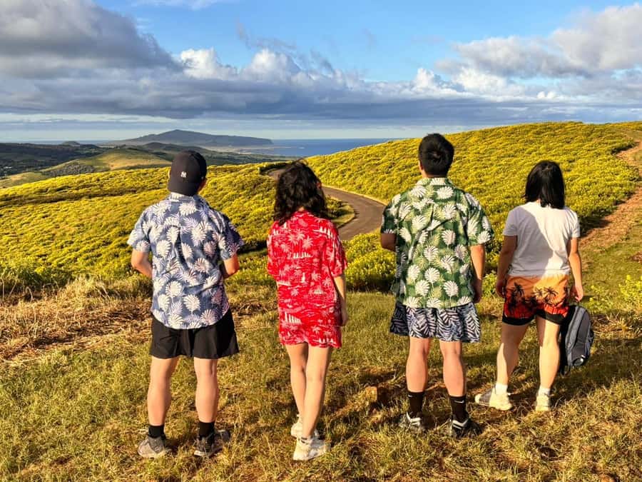 Rapa Nui: 3 Excursions with Hotel Transfers - Second Half-Day Afternoon: Puna Pau Quarry and the Moai Source Story
