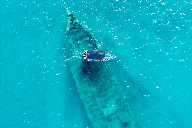 Reef Explorers Transparent Boat and Beach Tour - Key Highlights You Should Know Before Booking