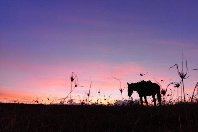 Ride to the highest point on the island for sunset - Why Maunga Terevaka feels different at golden hour