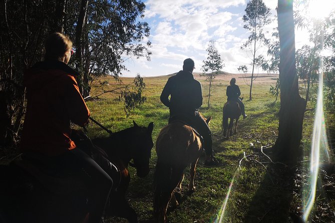 Ride to the highest point on the island for sunset - Who should book this sunset ride, and who should think twice