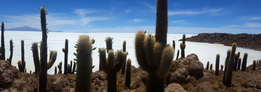 Roundtrip to the Uyuni Salt Flat and the Colored Lagoons - Sol de la Mañana geysers and the Siloli and Salvador Dali deserts