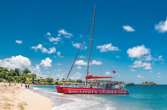 Sail and Snorkel at Cades Reef - Lunch on the Catamaran: BBQ, Vegetarian Choice, and the Drink Plan