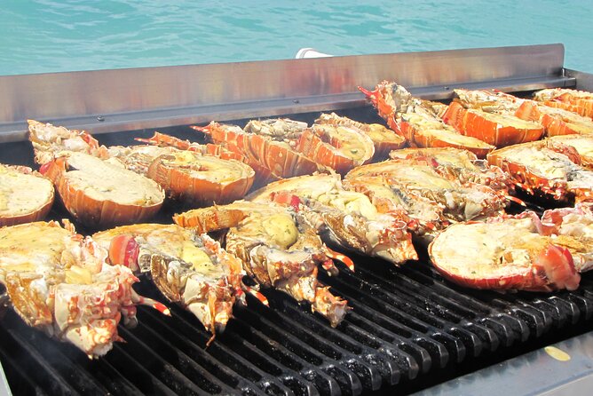 Sail and Snorkel at Cades Reef - The Open Bar on the Sail Back: Music, Dancing, and Staying in Control