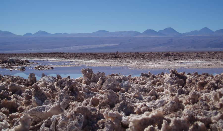 Salar de Atacama and altiplanic lagoons - Key things to know before you go