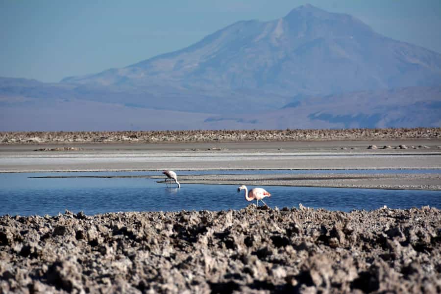 Salar de Atacama and altiplanic lagoons - Socaire terraces and the church stop that feels like a real morning