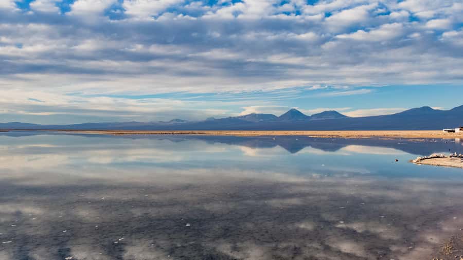 Salar de Atacama and altiplanic lagoons - The first altitude hit: Miscellanea and Miñiques Lagoons at 4,200 m
