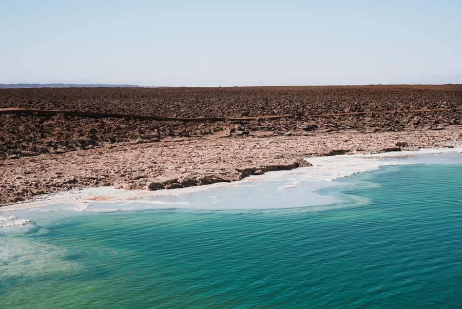 San Pedro Atacama: Baltinache Lagoons - Key things to know before you go